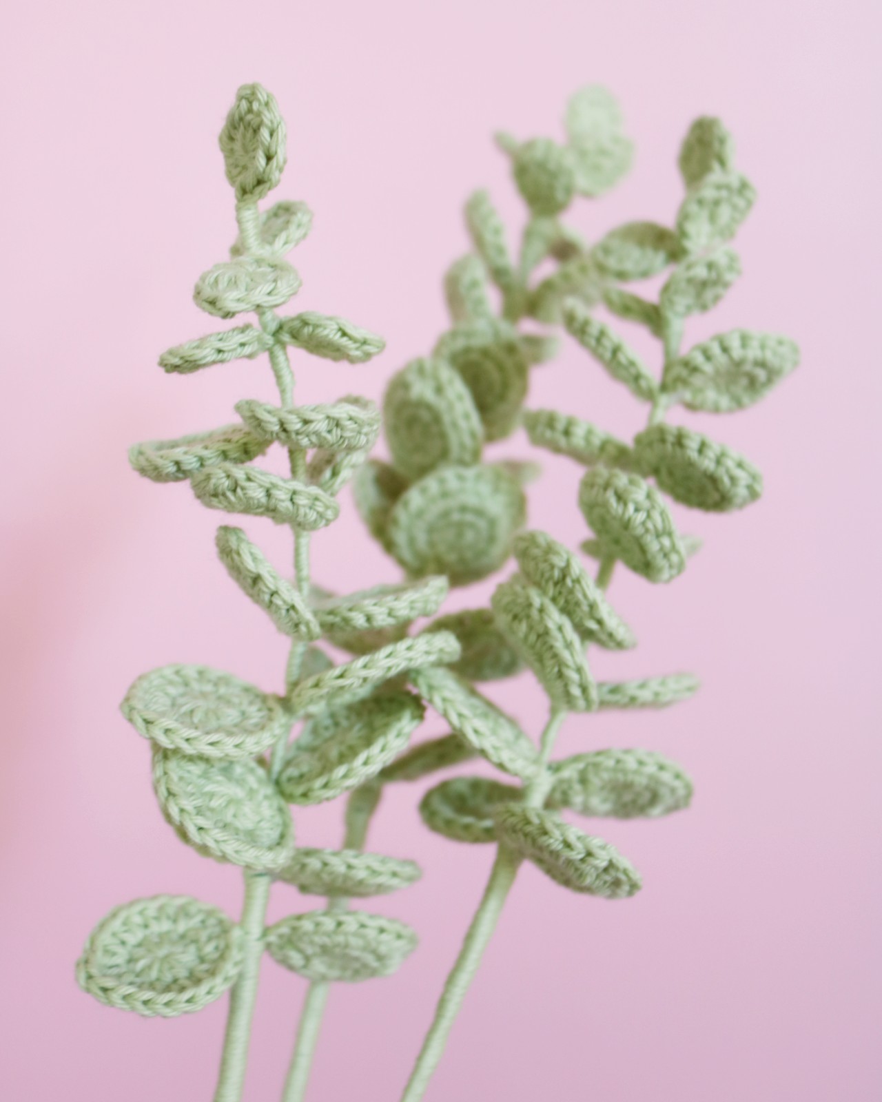 Eukalyptus, Digital hækleopskrift